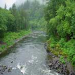 Banks Oregon Nehalem River
