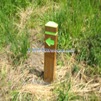 Trail Directional Markers