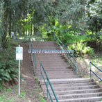 Mt Tabor Stairs