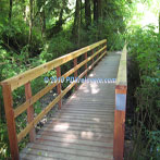 Northwest Portland audubon Society Trail