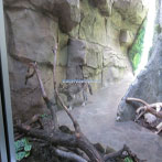 Oregon Zoo Exhibit
