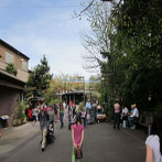 Oregon Zoo Path