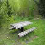Brookside Pond Picnic Table