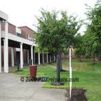 Tualatin Oregon High School