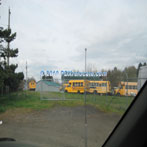 School Busses