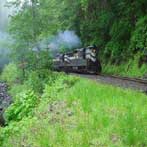 River Train Excursion