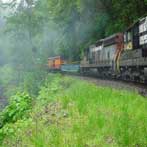 River Train Excursion