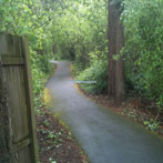Autumn Ridge Park Path