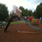 Autumn Ridge Park Slide