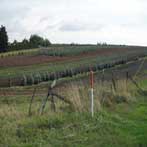 Damascus Oregon Farm and Field