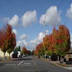 Gladstone Oregon Street View Picture