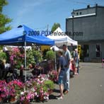 Farmer's Market in Downtown Gresham, Oregon 