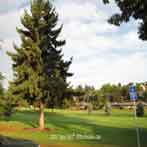 king city oregon golf course