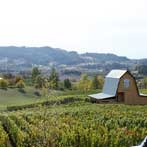 Newberg Oregon Wineries & Vinyards