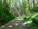 Oregon Outdoor Hiking Scene