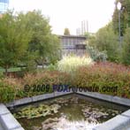 Downtown Portland Riverfront Pond