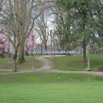 Irvington Park Paths