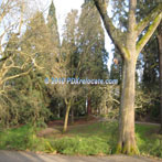 Laurelhurst Park