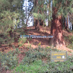 Laurelhurst Park