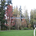 Laurelhurst Park