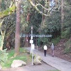 Laurelhurst Park Path