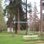 Laurelhurst Park Picnic