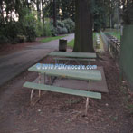 Laurelhurst Park Picnic