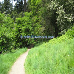 Mt. Tabor Sites