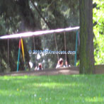 Mt Tabor Swings