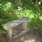 Northwest Portland audubon Society Trail Bench