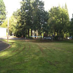 Cedar Mill Park