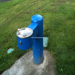 Cedar Mill Park Drinking Fountain