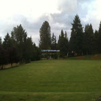 Cedar Mill Park Field