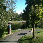 Park Bench