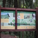 Leif Erickson Trail