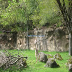 Oregon Zoo Animal Exhibit