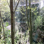 Oregon Zoo Bird Exhibit