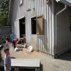 Petting Zoo Exhibit