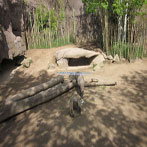 Zoo Exhibit