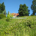 Pittock Mansion Trails