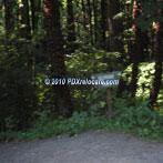 Wildwood Trail