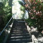 Northwest Portland Strohecker's Park Stairs