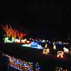 Zoo Lights