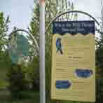 Brookside Pond Sign