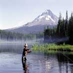 Fisherman in the Sandy River