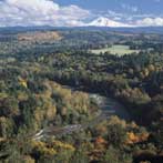 Incredible View of Sandy River and Mt. Hood