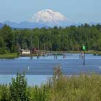 Mt Adams as pictured from the Scappoose Bay in Scappoose Oregon