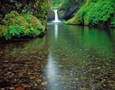 Punchbowl Falls